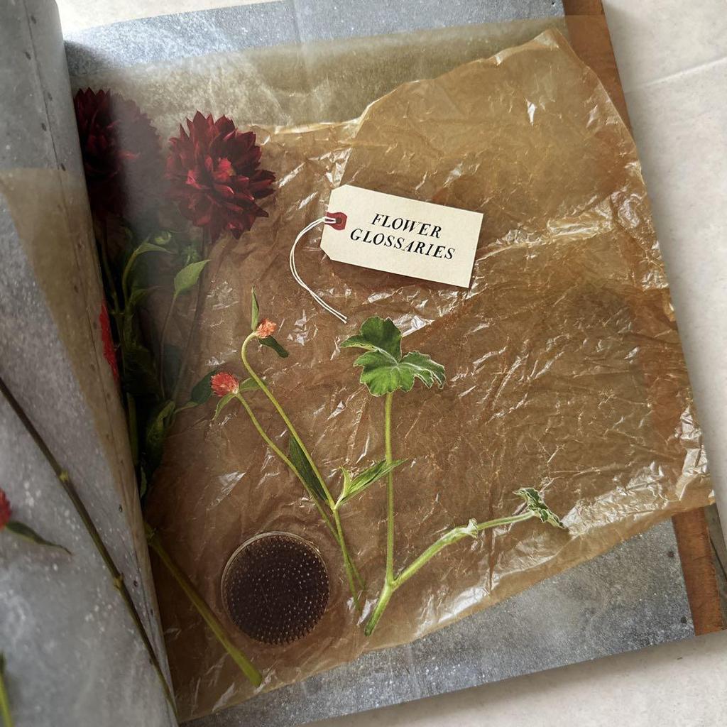 [Б/У] Красивый учебник по цветам