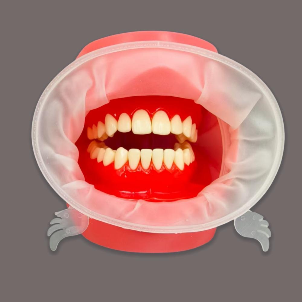 Стоматологические роторасширители 3D Стоматологические О-образные ретракторы щек Защита губ Открыватели рта Обычные модели для взрослых и детей