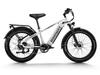 Himiway D5 Step-Over Fat Tire E-Bike – 250W, 48V 20Ah, 125km Range
