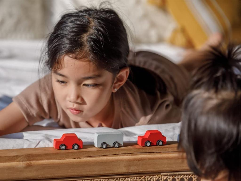 PLANTOYS JAPAN Набор миниатюрных машинок 6286