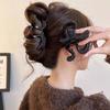 Matte Finish Shark Clip Large Ponytail Clip New Acrylic Hair Claw  Headwear Accessories