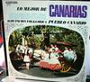 LP Record AGRUPACION FOLKLORICA ROQUE NUBLO - Lo Mejor De Canarias STER27 Discophon Spain Folk Used