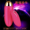 Rotor Remote Wireless 10 типов вибрации Ротор для женщин Популярный рейтинг USB зарядка Тихий водонепроницаемый силикагель Сильная вибрация