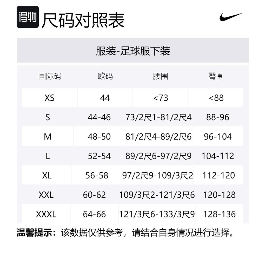 Nike Мужские спортивные штаны для футбола Темно-синие DX2630-410