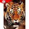 Diamond Embroidery Tiger Diamond Painting Round Stones Animlas Diamond