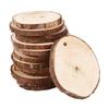 10Pcs DIY Round Hole Log Unfinished Wood Slices with Pine Chips for Kid