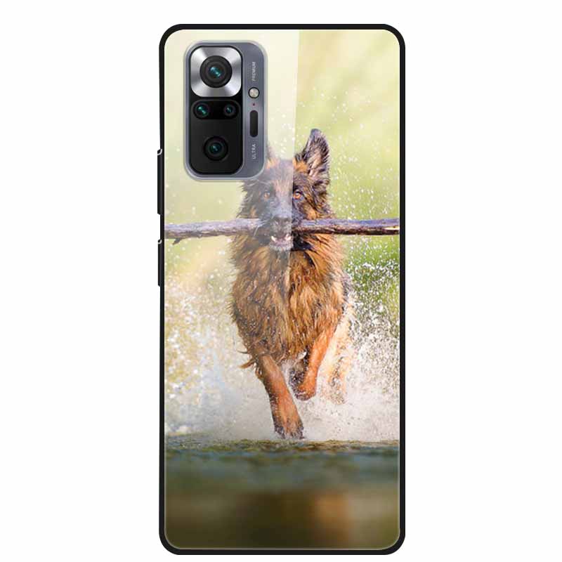 Цветная закаленная стеклянная крышка для чехла Xiaomi Redmi Note 10 Pro, жесткий противоударный Funda для чехлов Redmi Note10 / Note 10Pro, корпус