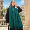 Wool Scarf Autumn and Winter Korean Style Cashmere Scarf Women's Winter New Style Women's Shawl Solid Color Scarf Versatile
