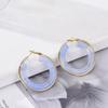 Fashion Vintage Round Amber Resin Hoop Earrings For Women Stainless Steel Gold Color Circle Big Daily Zircon Female Earrings