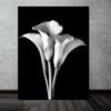 Плакаты с Каллой Лилию, черно-белые цветы, принты растений, картина на холсте, настенная роспись, художественные фотографии, гостиная, спальня, современный домашний постер, украшение