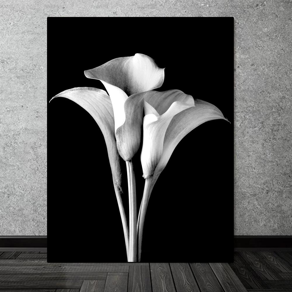 Плакаты с Каллой Лилию, черно-белые цветы, принты растений, картина на холсте, настенная роспись, художественные фотографии, гостиная, спальня, современный домашний постер, украшение