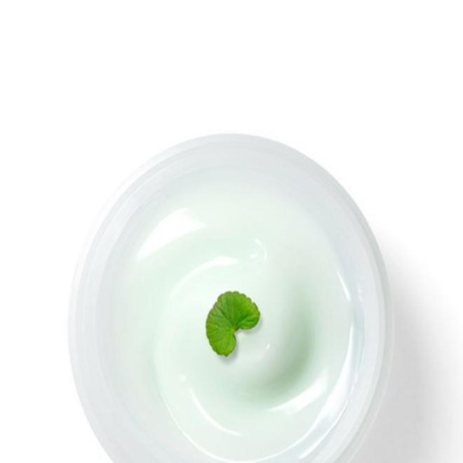 (Korea Beauty) Dr.G Red Blemish Cica Soothing Cream (100ml)