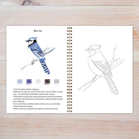 Watercolor Workbook 12 Colors Watercolor Painting Set with Paint Brush Beginner-Friendly Birds Animals Flowers Watercolor Book