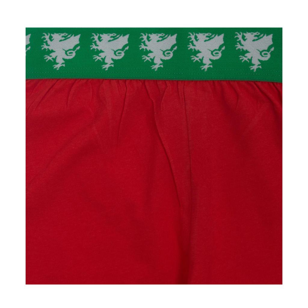 Wales Cymru Boys Short Pyjama Set