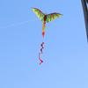 3D D-ragon K-ite Kids Toy  Outdoor Flying Activity Game Children With Tail