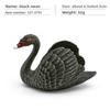 Realistic Figures Animal Model With Ducks Rooster Swans For Decorative Display