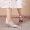 Pointed Thin Heel Sandals Design Temperament High Heel Thin 2025 New Summer Skirt Sexy Versatile French