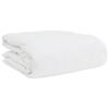 2 in 1 Duvet with Pillow 2 pcs White Down Feather