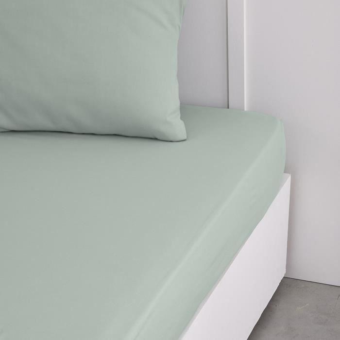 TODAY Essential Fitted Sheet - 140 X 190 Cm - 2 People - 100% Plain Cotton - Celadon
