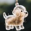 Clear Puppy Hair Memorial Keepsake Capsule Pet'S Dog Fur Container Diy Pendant Keychain Decor Pet Lovers Home Display Gifts