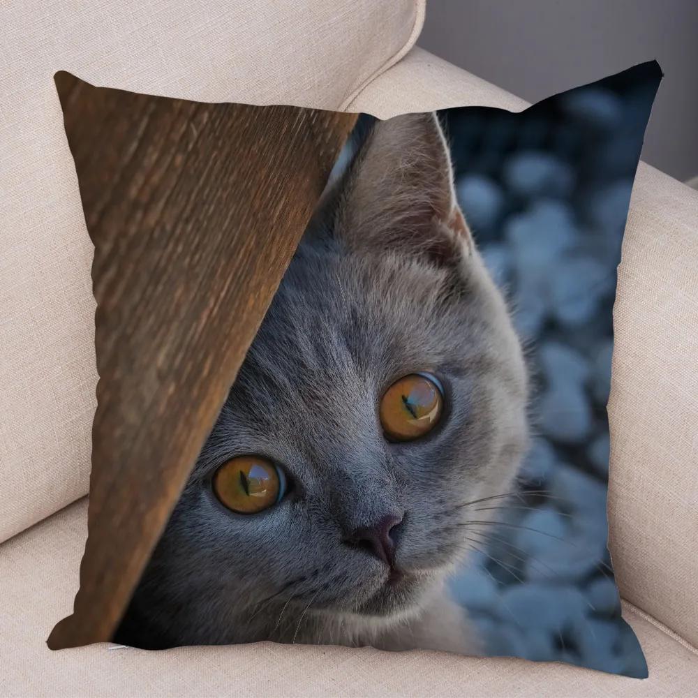 Русская голубая Британская короткошерстная Наволочка Декор Милый кот Домашнее животное Животное Наволочка Мягкий плюшевый Чехол для подушки для машины Дивана Дома