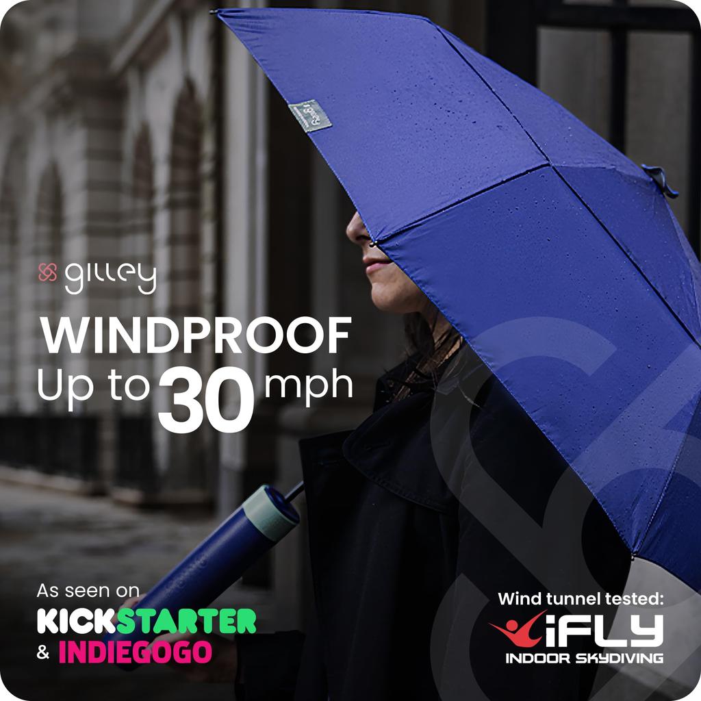 Gilley Folding Waterproof and Stays Dry Umbrella, UK, Case, Windproof, (Blue/Cyan)