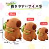 Hyack Capybara Plush Toy, Sewn Wrap, Body Pillow, Animal Toy (33cm) [Parallel Import]