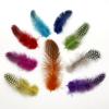 Chicken Pheasant Feathers Beautiful Gull Feather Plume for DIY Craft Decoration Jewelry Making Accessories