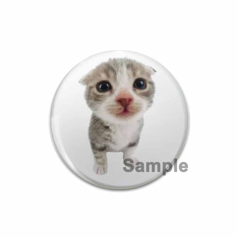 32/44/58 мм милые значки аниме-сериала забавный значок кота енота интересные мультяшные животные броши рюкзак одежда подарок аксессуар