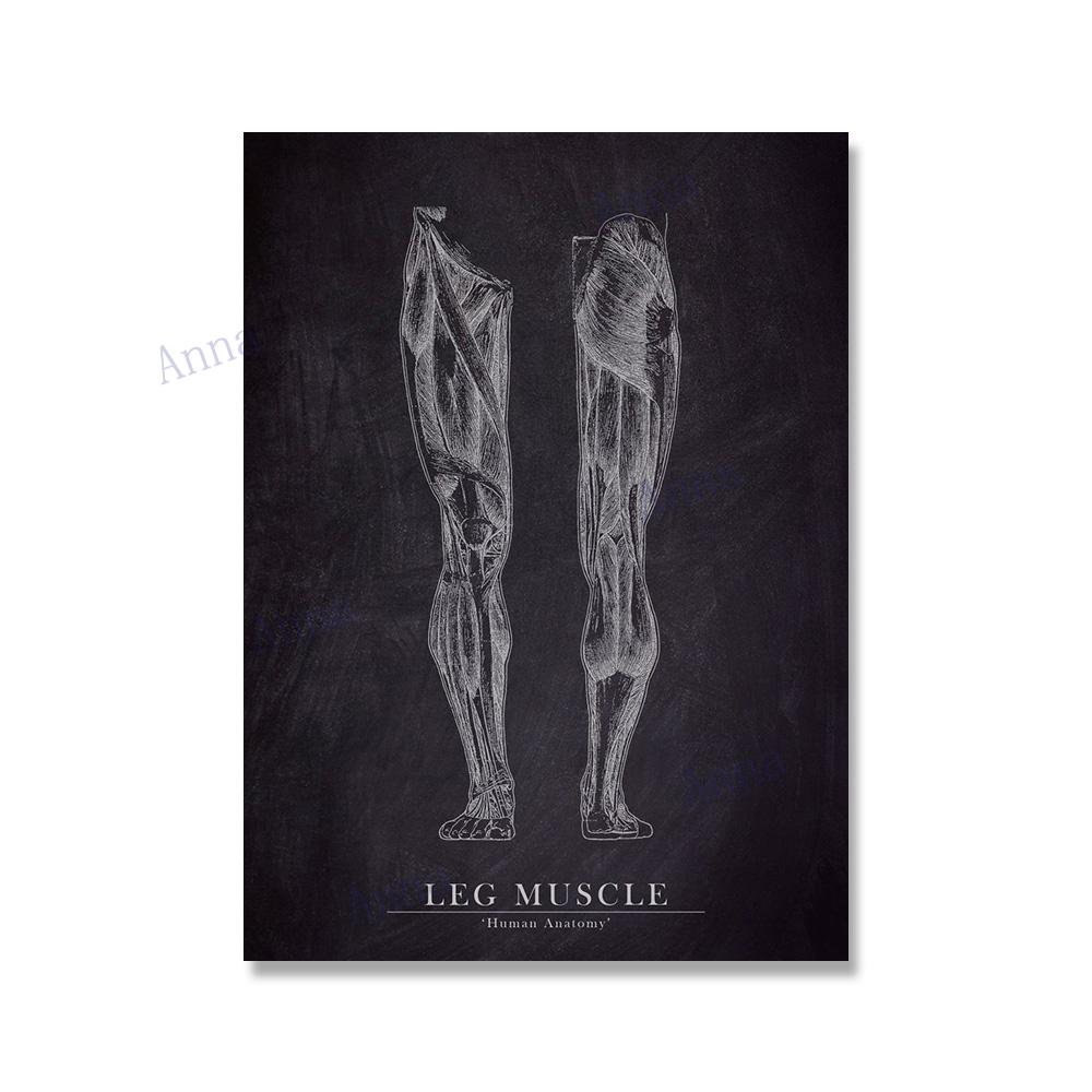 Muscle Foot Bone Heart Anatomy Skeleton Wall Art Canvas Painting Nordic Posters And Prints Wall Pictures For Doctor Office Decor