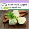 Organic - Florence Fennel - 100 Seeds - Foeniculum Vulgare