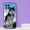 Animal Husky Puppy For Samsung Galaxy M13 M33 M53 M12 M32 M52 M14 M34 M54 M20 M51 M21 M30s M31s M15 M55 Case