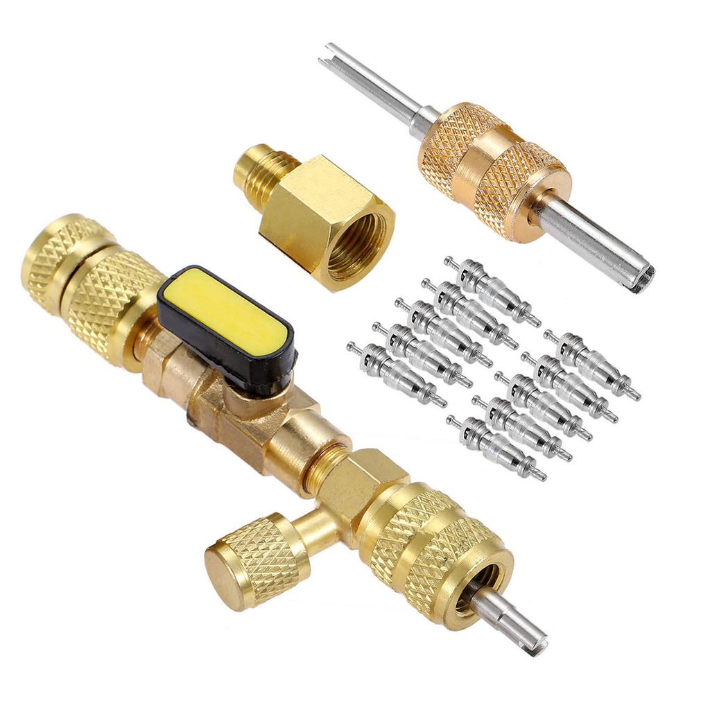 Двойной набор инструментов для снятия сердечников клапанов 1/4" и 5/16" с 10 сердечниками клапанов 5 в 1 и двойной головкой для хладагента