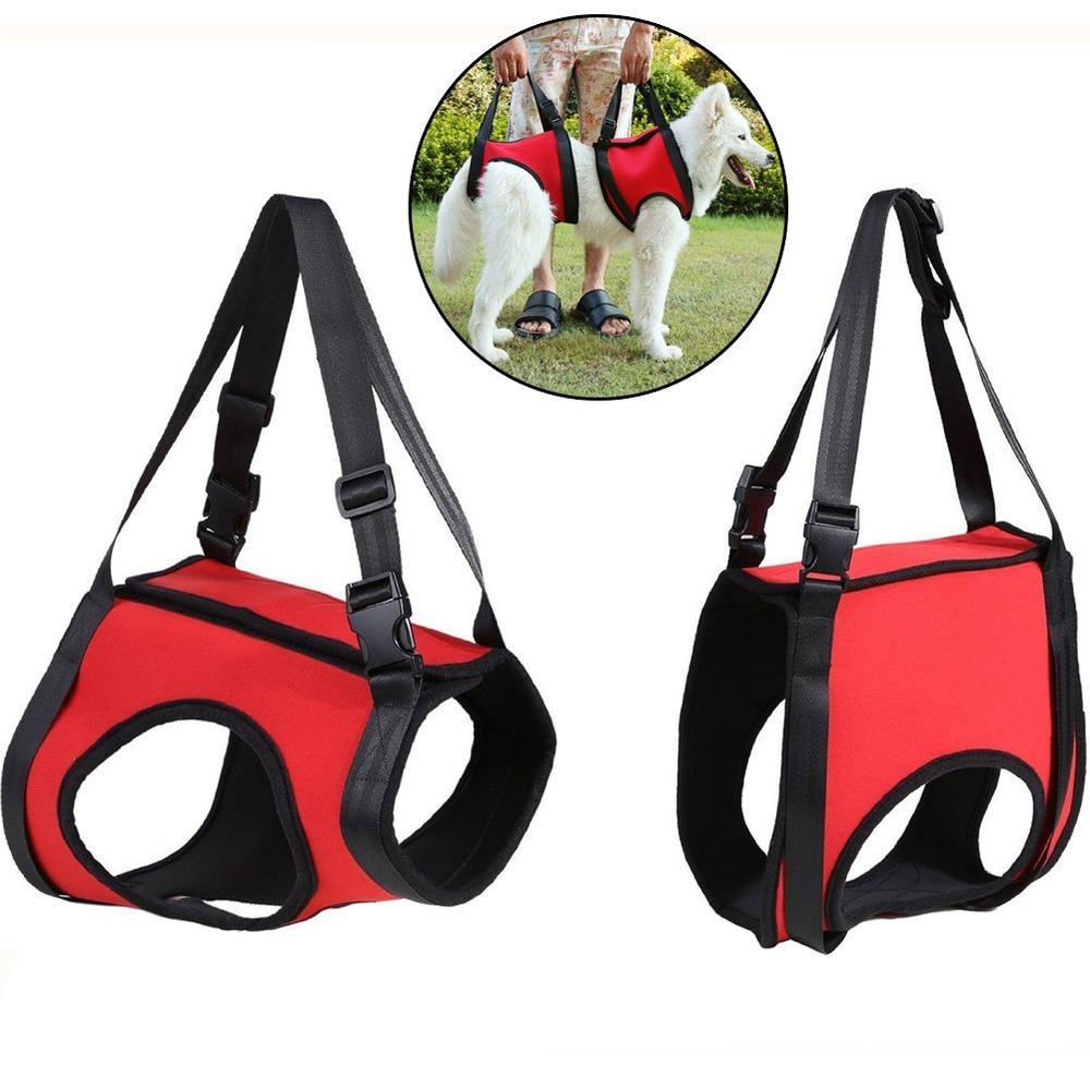 Pet Carrier Set Dog Lifting Rehabilitation Support Carrier Assist Disabled Joints