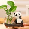 1 комплект, милая водная ваза в виде панды, круглая стеклянная ваза для выращивания растений в виде панды, стеклянная ваза для выращивания гидропонных растений для дома и офиса