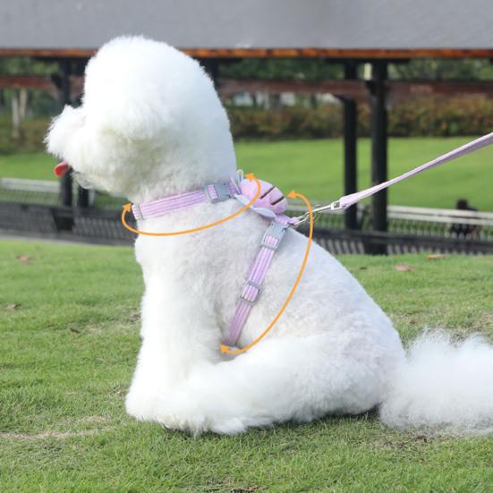 Набор поводков для кошек, регулируемый поводок с изображением пчелы из мультфильма для маленьких и средних собак, ошейник с защитой от побега для домашних животных, поводок для прогулок на свежем воздухе