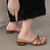 French Evening Breeze Cool Slippers Summer Outer Wear Women's Shoes New Year Silver Square Head with Skirt Thick Heel Sandals