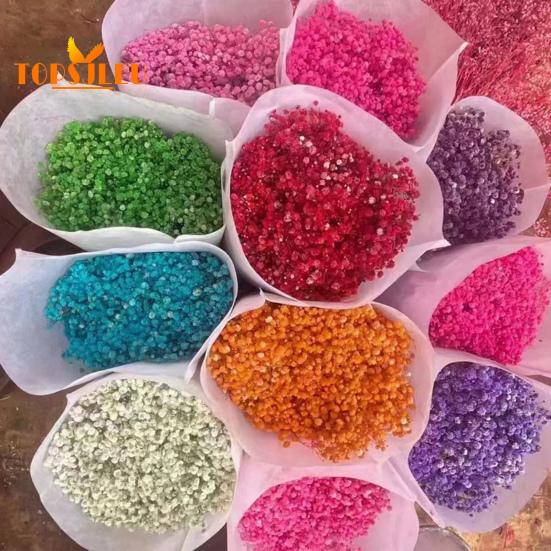 Букет эониума, сушеные цветы, яркий цвет, не выцветает, простота в уходе, натуральная сушеная гипсофила, сцена украшения ко Дню святого Валентина.