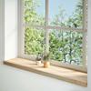 Vidaxl Parapety 2 Szt., Surowe, 120X25X2 Cm, Lite Drewno Dębowe