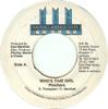 7inch Record PINCHERS - Who's That Girl NONE Music Associate 1997 Jamaica Reggae, Ska & Dub Used