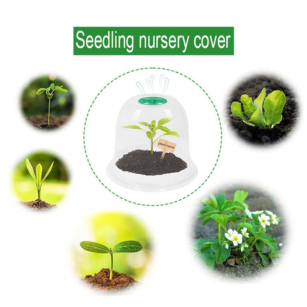 Garden Cloche Plant Bell Cover 6 Pack Plant Cover Ground Securing Peg