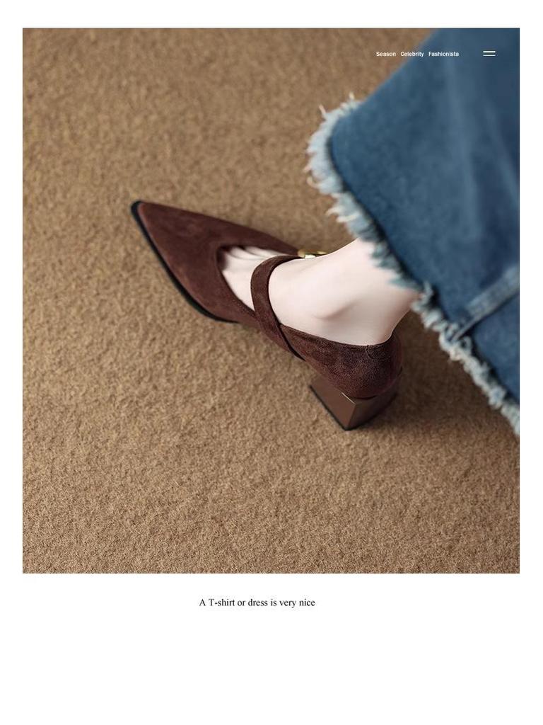 Французские ретро туфли Мэри Джейн на высоком каблуке - Изысканный стиль Весна/Осень 2025 для женщин с острым носком, идеально подходят к юбкам.