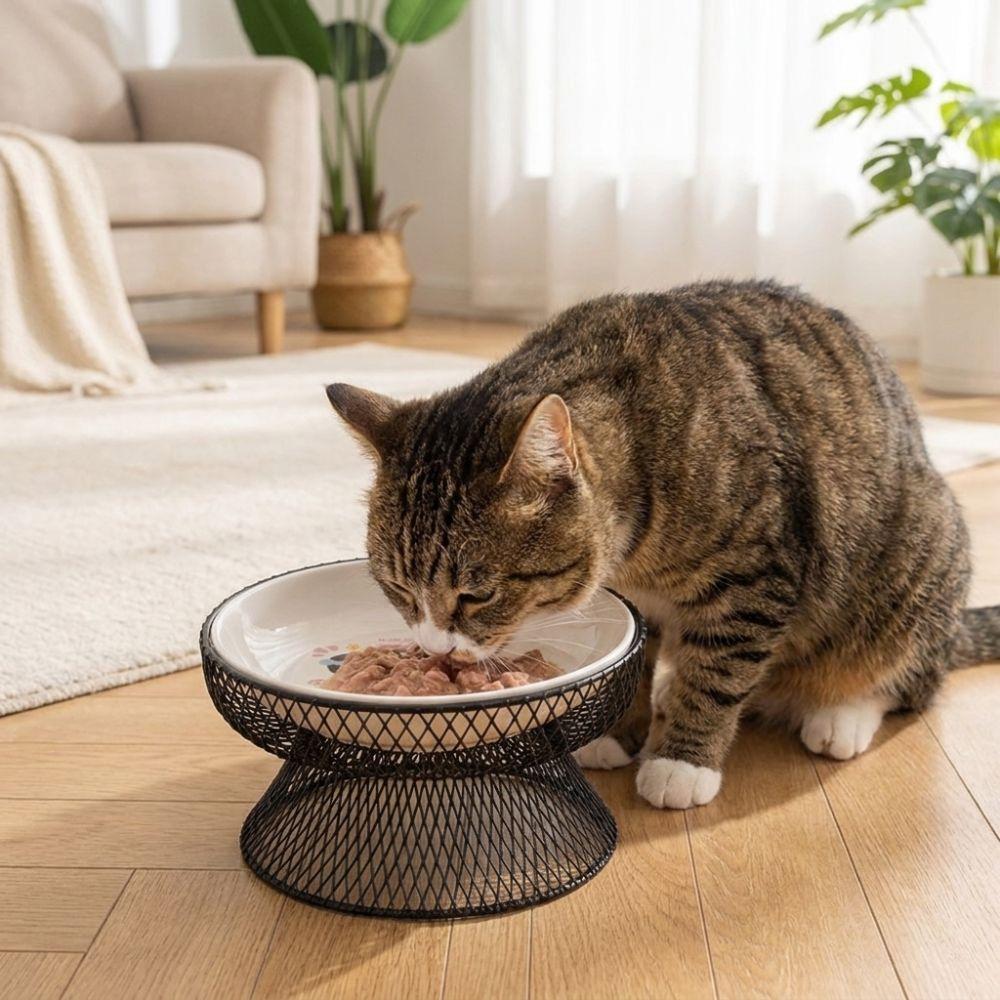 Non-Slip Elevated Pet Bowl No Spill Cat Feeding Station Pet Feeder Multi Pet Household