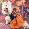 Pet Clothes Halloween Skirt Pumpkin Skull Skirt Factory Mesh Princess Small Dog Teddy