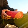JBL FLIP 7 Portable Bluetooth Speaker CN plug (adapter included)