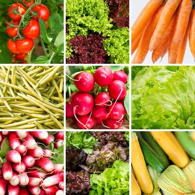 НАБОР СЕМЕН ОВОЩЕЙ на БАЛКОННОЙ ТЕРРАСЕ 9 сортов семян для удобного выращивания в горшках