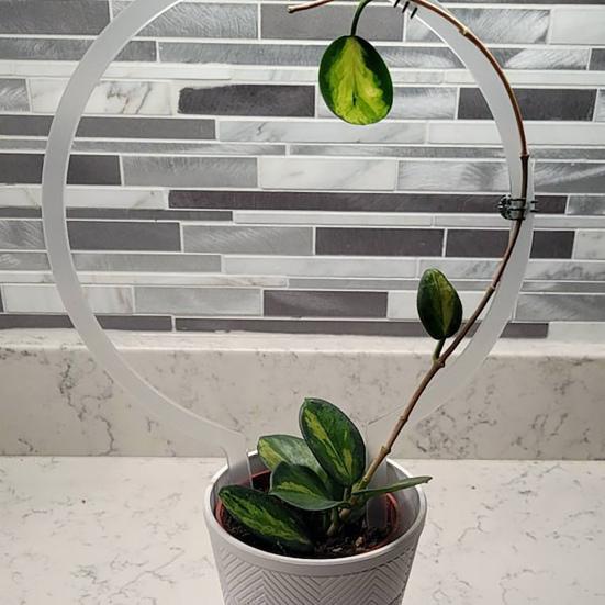 Подставка для кронштейна для растений Прозрачная устойчивая к погодным условиям конструкция Акриловая садовая опора Усилитель роста вьющихся растений