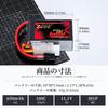 Zeee Premium Series 3S LiPo Battery, 11.1V 100C 650mAh with XT30 Plug, 3S Battery for RC Helicopters, FPV Drones, RC Cars, RC Trucks, and More, 2-Pack