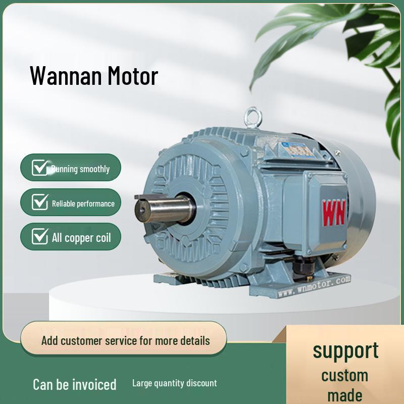 Anhui Wannan TYCP Series Three-Phase Variable Frequency Permanent Magnet Synchronous Motor