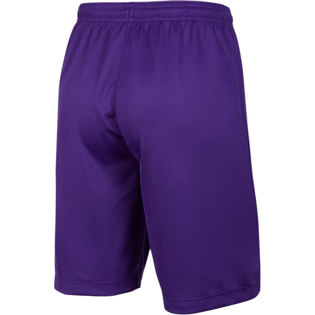 Nike Dri-Fit Ss25 Park Iii Sports Quick-Dry Breathable Shorts Men Shorts Purple IB8681-547